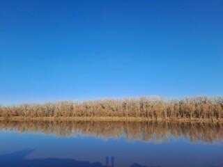 reflection of trees in water