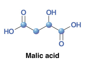 Malic Acid Dicarboxylic Acid Made By All Living Organisms. Vector Illustration Organic Compound With The Molecular Formula C4H6O5