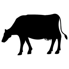 Cow clip art design on plain white transparent isolated background for card, shirt, hoodie, sweatshirt, apparel, card, tag, mug, icon, poster or badge