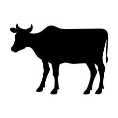 Cow clip art design on plain white transparent isolated background for card, shirt, hoodie, sweatshirt, apparel, card, tag, mug, icon, poster or badge