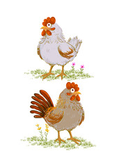 Chickens, hen, rooster sketch on vintage style isolated on background vector illustration.