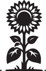 Sunflower vector illustration