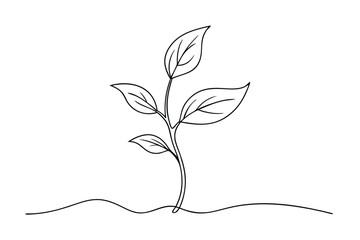 Single Line Drawing of Sprout with Leaves on Transparent Background Vector
