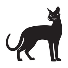 Wild-inspired Abyssinian silhouette, echoing its ancient roots - Abyssinian illustration - Abyssinian vector - cat silhouette

