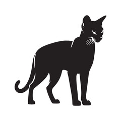 Obraz premium Lithe Abyssinian silhouette, highlighting its sleek physique - Abyssinian illustration - Abyssinian vector - cat silhouette