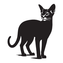 Obraz premium Dynamic Abyssinian silhouette, exuding energy and charm - Abyssinian illustration - Abyssinian vector - cat silhouette
