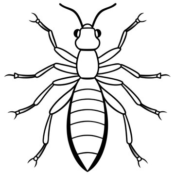 black and white ant drawing clip art preview