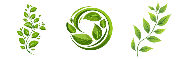 Spring bloom captivating flora in a summer garden outdoor photography lush environment vibrant viewpoint