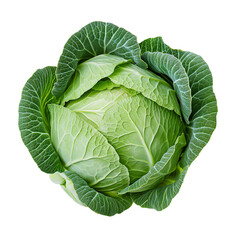 Fototapeta premium Cabbage isolated on transparent background