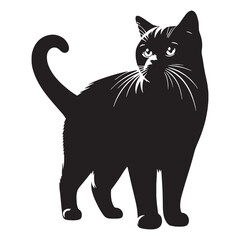 Fototapeta premium Noble American Shorthair silhouette, showcasing a strong and sturdy build - American Shorthair illustration - American Shorthair vector - cat silhouette