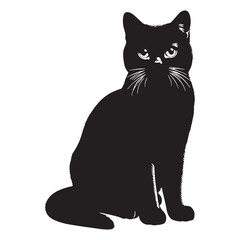 Sleek American Shorthair silhouette, embodying agility and charm - American Shorthair illustration - American Shorthair vector - cat silhouette

