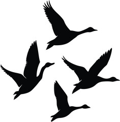 Obraz premium Flying Geese Silhouettes Group, Wildlife Bird Migration on Transparent Background