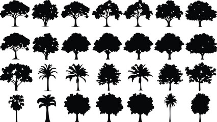  Silhouette Tree Line Drawing Set – Vector Outline Trees for Architecture & Landscape Design