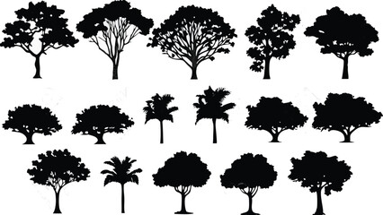  Silhouette Tree Line Drawing Set – Vector Outline Trees for Architecture & Landscape Design