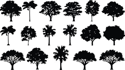 Fototapeta premium Silhouette Tree Line Drawing Set – Vector Outline Trees for Architecture & Landscape Design