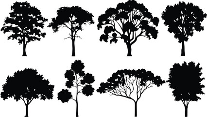 Fototapeta premium Silhouette Tree Line Drawing Set – Vector Outline Trees for Architecture & Landscape Design