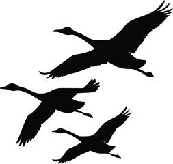 Fototapeta premium Swans Flying Silhouette Against Transparent Backdrop for Elegant Visuals