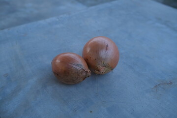 Obraz premium photo of fresh shallots from the garden