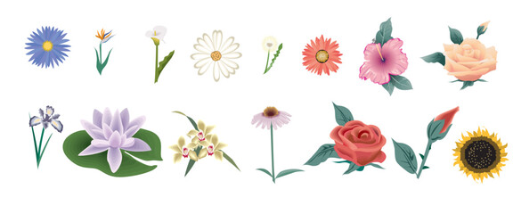 icons set for business