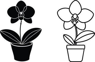 Orchid Plant Potted Flower Icons Black White Simple Design