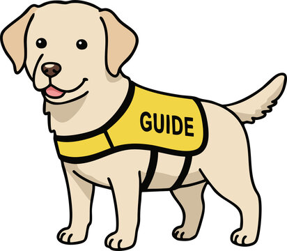 guide dog, dog, Disabled, Visually impaired, Day of the disabled, Hearing impaired, animal, puppy, pet, Retriever, Labrador retriever, Golden retriever, Guide dog training, illustration, cute, labrado