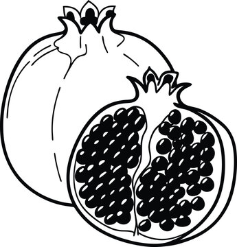 vector illustration of  bedana