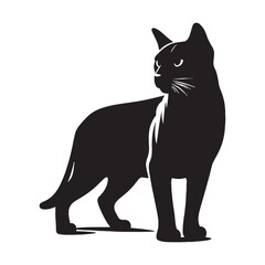 Fototapeta premium Mystical Burmese silhouette, reflecting the enigma of the breed - Burmese illustration - Burmese vector - cat silhouette