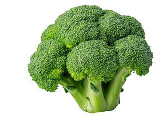 Fresh green broccoli bunch ready for healthy cooking recipes, cut out