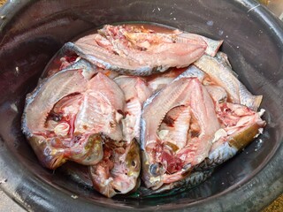 Raw Fish Preparation in Bangkok
