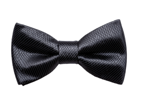 Elegant black bow tie for formal occasions and celebrations, cut out