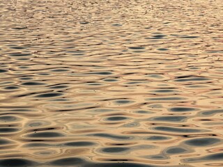 Golden Ripples on Water Surface