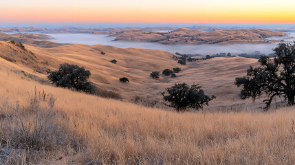 Fototapeta premium A beautiful landscape with a foggy sky and a lake in the background