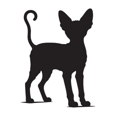 Refined Devon Rex silhouette, portraying the breed’s striking profile - Devon Rex illustration - Devon Rex vector - cat silhouette

