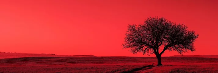 Fototapete A dramatic red landscape accentuated by a lone tree, evoking emotions of solitude and reflection. © StockUp