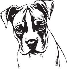 Boxer puppy. Hand drawn vector illustration