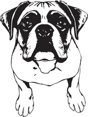 Boxer puppy. Hand drawn vector illustration