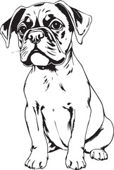 Boxer puppy. Hand drawn vector illustration