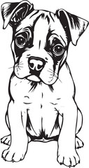 Boxer puppy. Hand drawn vector illustration