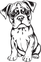 Boxer puppy. Hand drawn vector illustration
