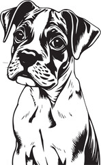 Boxer puppy. Hand drawn vector illustration