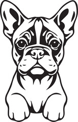 Boxer puppy. Hand drawn vector illustration