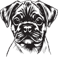 Boxer puppy. Hand drawn vector illustration
