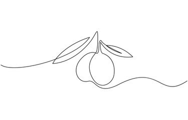 Continuous Line Drawing of Olive Icon. Hand Drawn Symbol Vector Illustration, Single continuous line drawing of organic olive fruit brunch. Modern one line draw design graphic vector.
