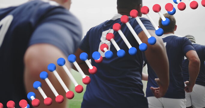 Image of dna strand over male rugby players at stadium