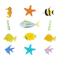 Fototapeta premium Hand drawn marine life elements set. Vector cartoon marine animals set.