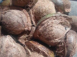 coconut