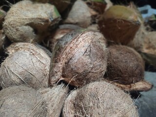 coconut