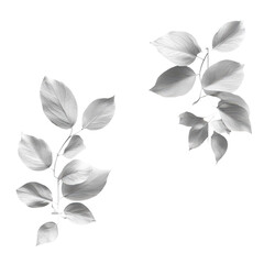 Minimalist Design Frame isolated on white background