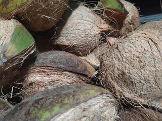 coconut on the table