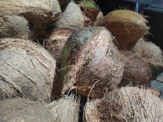 coconut on the table